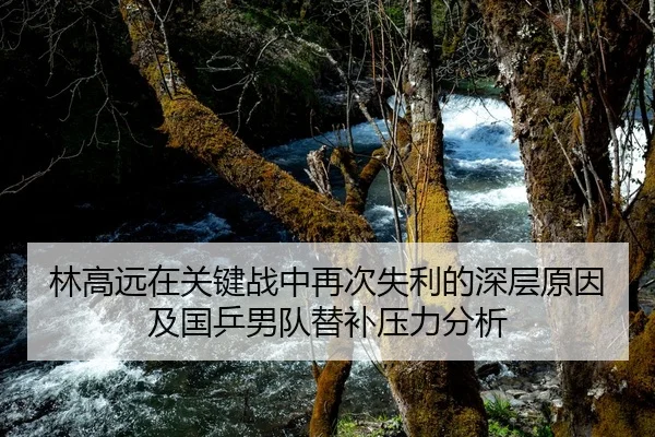 林高远在关键战中再次失利的深层原因及国乒男队替补压力分析