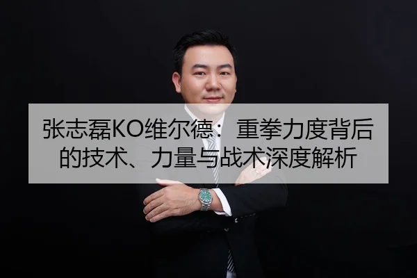 张志磊KO维尔德：重拳力度背后的技术、力量与战术深度解析