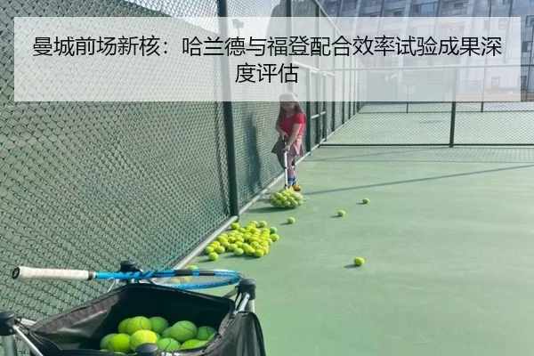 man-cheng-qian-chang-xin-he-ha-lan-de-yu-fu-deng-pei-he-xiao-lv-shi-yan-cheng-guo-shen-du-ping-gu-3-795.jpg