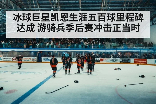 hockey arena crowd